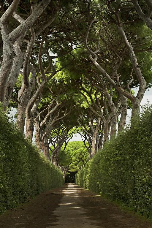Hotel Qc Termeroma Spa And Resort Fiumicino